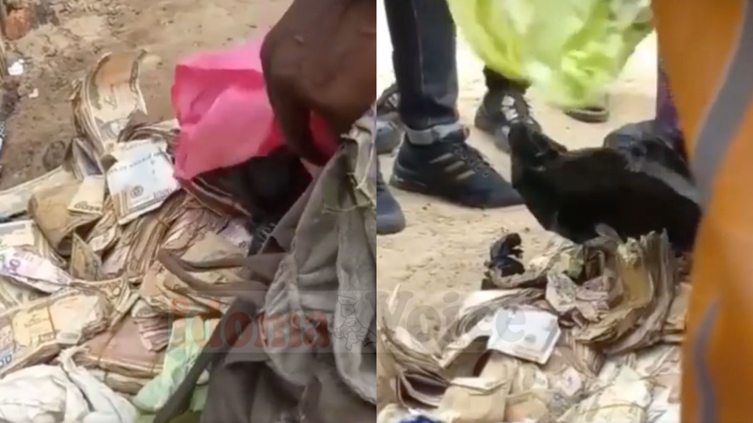 Beggar arrested with huge amount of money in Lagos [VIDEO]