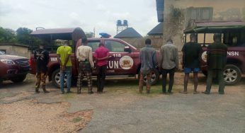 Amotekun operatives arrest eight suspected armed robbers in Osun