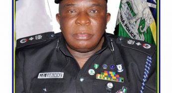 Joseph Egbunike: 10 things you need to know about the late police DIG