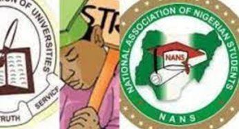 ASUU strike: NANS declares ‘war’ on lecturers, FG