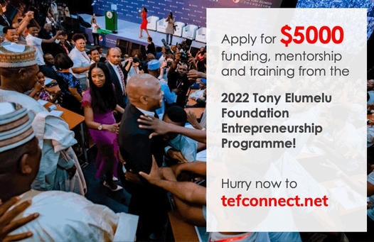 Apply for Tony Elumelu Foundation $5000 free funding, mentorship, training