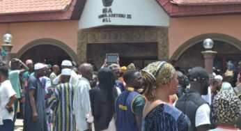 Bees invade Alafin of Oyo palace, attack mourners (Video)