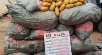 NDLEA intercepts 101 parcels of cocaine in children duvets at Lagos airport