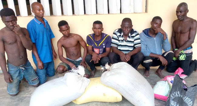 Police arrest seven suspects for planting Indian hemp in Ogun