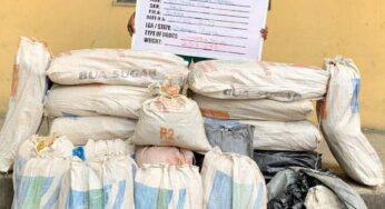 NDLEA intercepts 203,879 Tramadol tablets in Abia, Kaduna, Kogi, Yobe raids