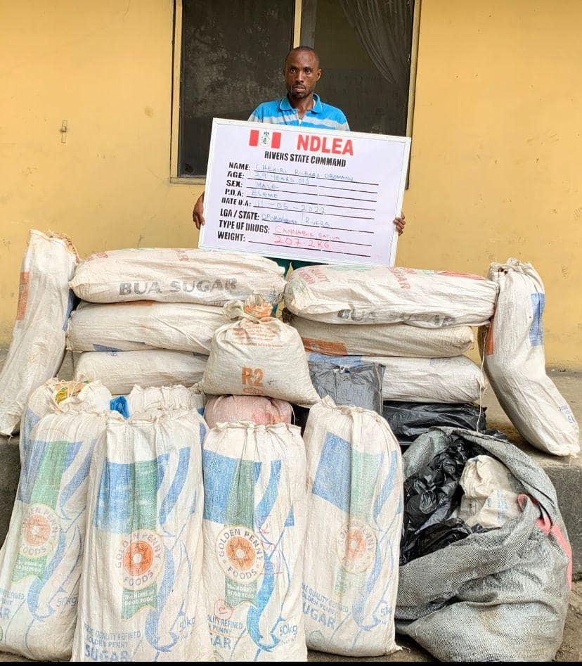 NDLEA intercepts 203,879 Tramadol tablets in Abia, Kaduna, Kogi, Yobe raids