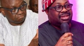 PDP primaries: Fayose, Dele Momodu score no votes