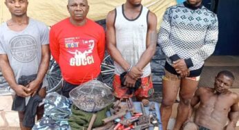 Biafra: Police discovers IPOB/ESN deadly shrine with live python in Imo