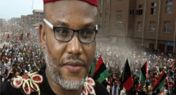 Biafra: Igbo politicians, governors move to secure release of Nnamdi Kanu