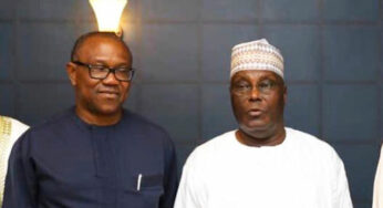 2023: Okupe speaks on Peter Obi’s alleged plan to step down for Atiku