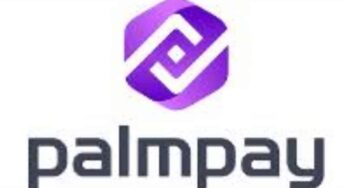 Apply for massive PalmPay Recruitment 2022, Careers & Job Vacancies