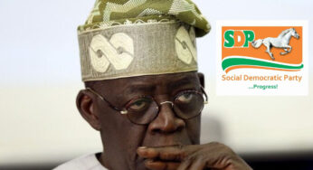 2023 presidency: Tinubu may join SDP after DG dumps APC