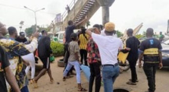 ASUU Strike: Travellers stranded as protesting OAU students shut down Ife-Ibadan road