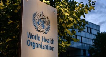 Apply for massive World Health Organization (WHO) Recruitment 2022