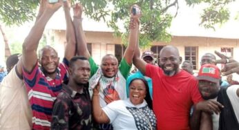 Benue PDP primaries: Michael Audu wins in Adoka/Ugboju