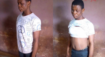 Benue man arrested for posing as lady to lure fellow man Gboko nightclub