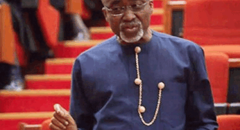 Abdullahi, Abaribe resign as Senate Majority, Minority leaders