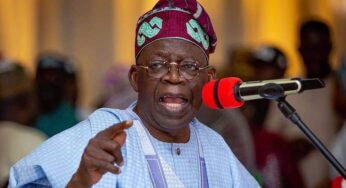 APC presidential primary results: Tinubu wins first Ballot Box