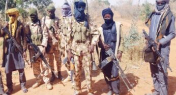 Notorious bandit leader, Dullu , 43 others killed as rival groups clash in Zamfara