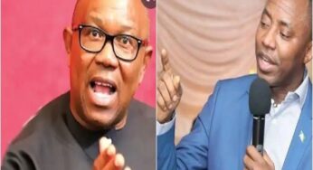 I made Peter Obi Labour Party presidential candidate – Sowore