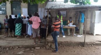 Ekiti election live results: APC floors SDP, PDP in Irepodun/Ifelodun