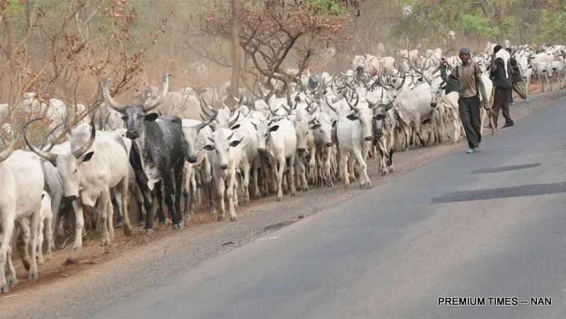 Fulani herdsmen have taken over Igbo land – IPOB raises alarm