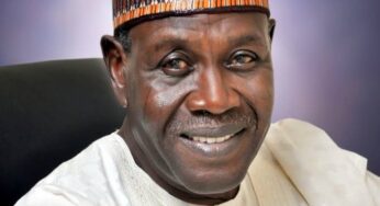 BREAKING: MKO Abiola: Buhari recognizes Babagana Kingibe as Vice President