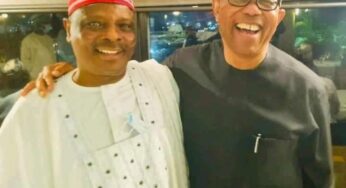 Peter Obi, Kwankwaso to join forces against Atiku, Tinubu