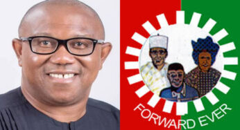 Labour Party moves to suspend Peter Obi