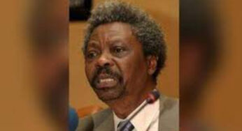 Femi Soyinka: Biography, Age, Net worth, Education, Source of Wealth