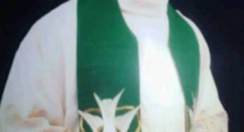 Abducted Benue Catholic priest, Rev Fr Peter Amodu released