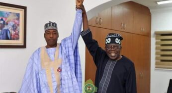 Tinubu gets serious warning as he moves to pick Zulum as running mate
