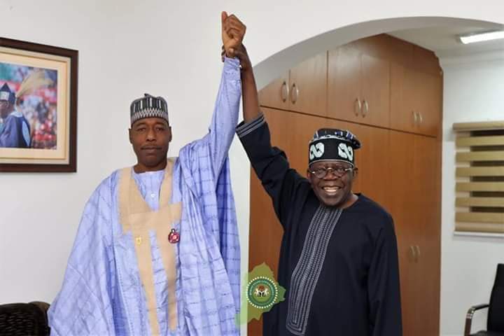 Tinubu gets serious warning as he moves to pick Zulum as running mate