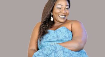 Ada Ameh: A princess pummeled by her troubled past