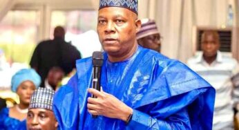 Biography of Kashim Shettima, age, family, net worth, full profile