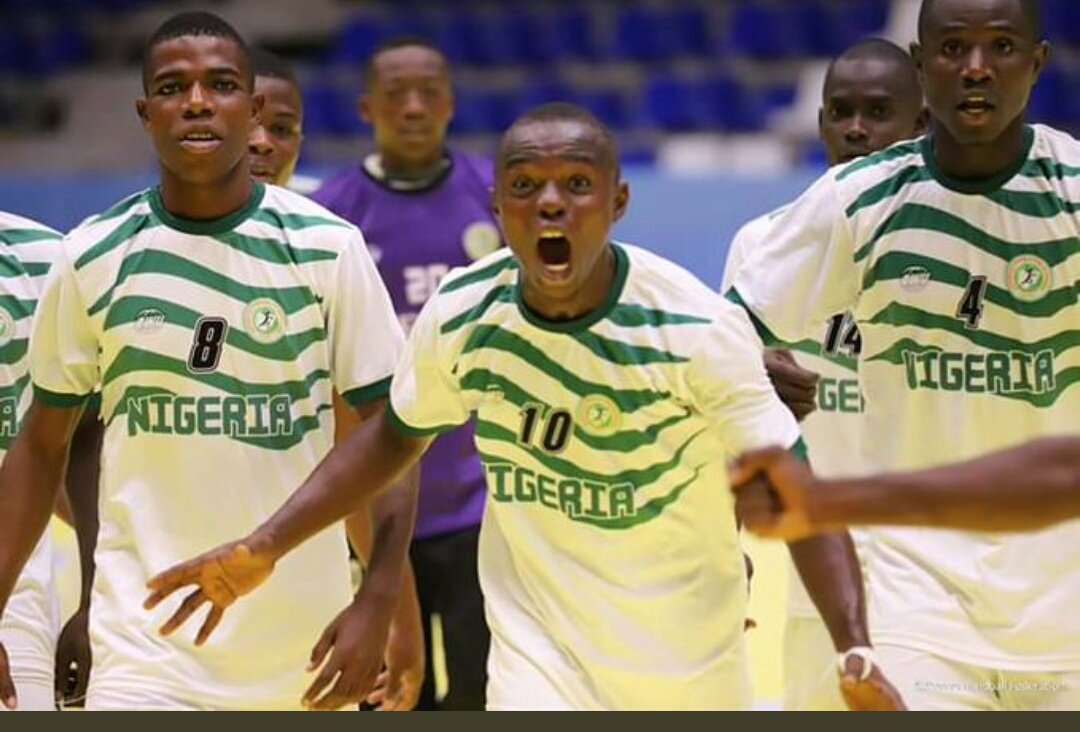 Africa Men Handball Championship: Tunisia defeat Nigeria 30-18