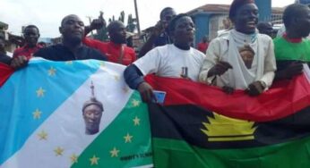 Why Biafra, Oduduwa agitations have been suspended – Adeyanju