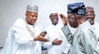 Fresh facts emerge on why Tinubu picked Shettima as running mate