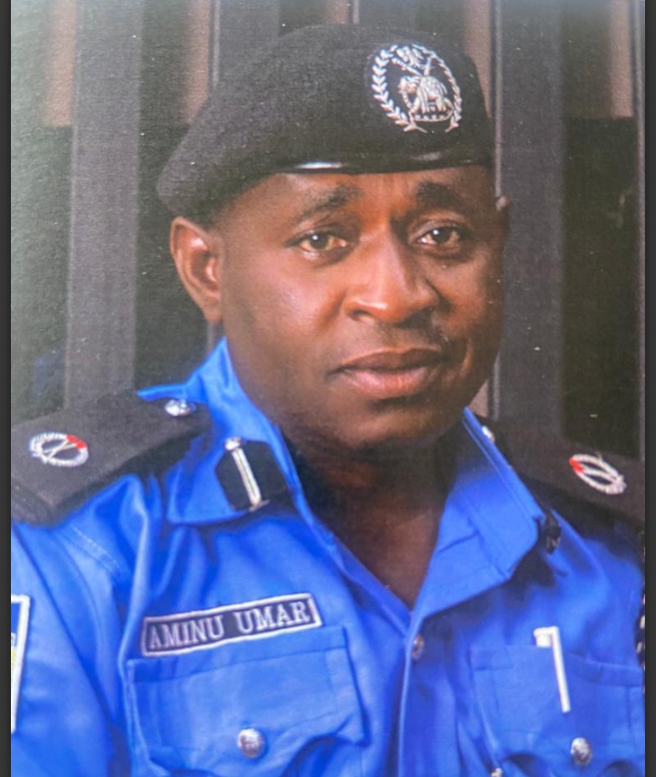 BREAKING: Bandits Kill Police Area Commander, 1 other in Buhari’s Katsina