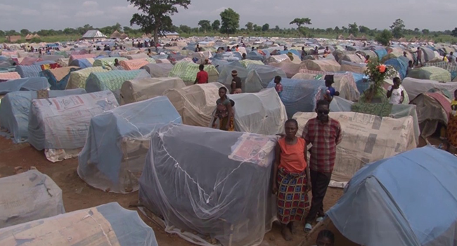 70 babies born in Benue IDP camp