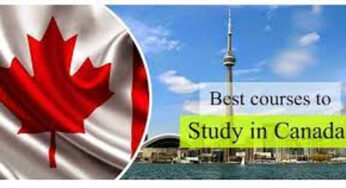 Top 6 most valuable and rewarding courses to study in Canada