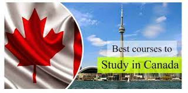 Top 6 most valuable and rewarding courses to study in Canada