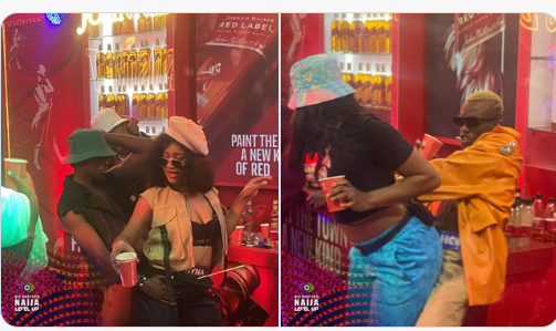 BBNaija S 7: Photos from Saturday’s Party