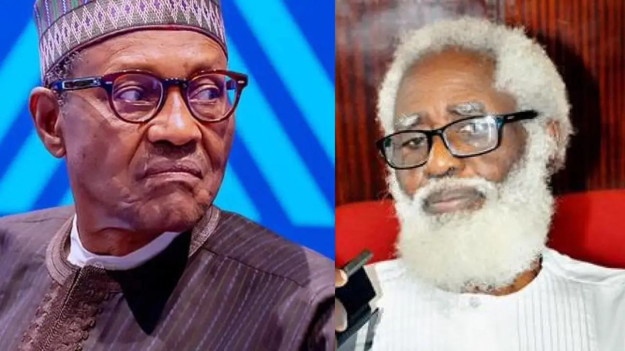 God is using Buhari to punish Nigerians for their evil – Yemi Farounbi