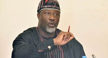 PDP moves to suspend Dino Melaye, calls him liability