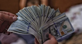 Dollar scarcity forces banks to ration $4,000 Personal Travel Allowance