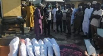 Shehu Sani reacts as gunmen attack Hausa community in Oroge, Imo