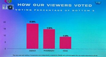 BBNaija Season 7: How Nigerians voted for Kess, Pharmsavi, Amaka, others