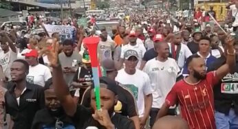 Peter Obi’s supporters shutdown Port Harcourt with two million-man march