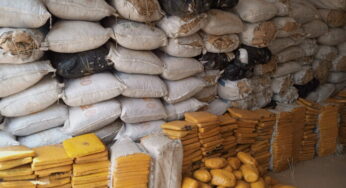 Customs intercepts Cannabis worth N308m, hands over suspects to NDLEA